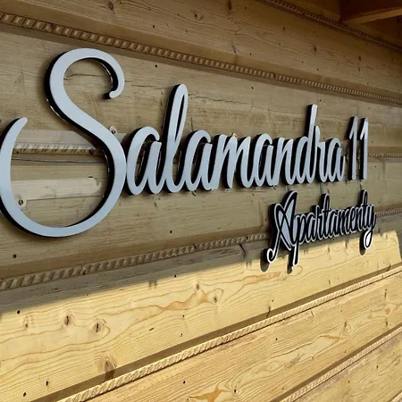 Appartement Gpp Salamandra 11 Goralskie W Koscielisku Kościelisko